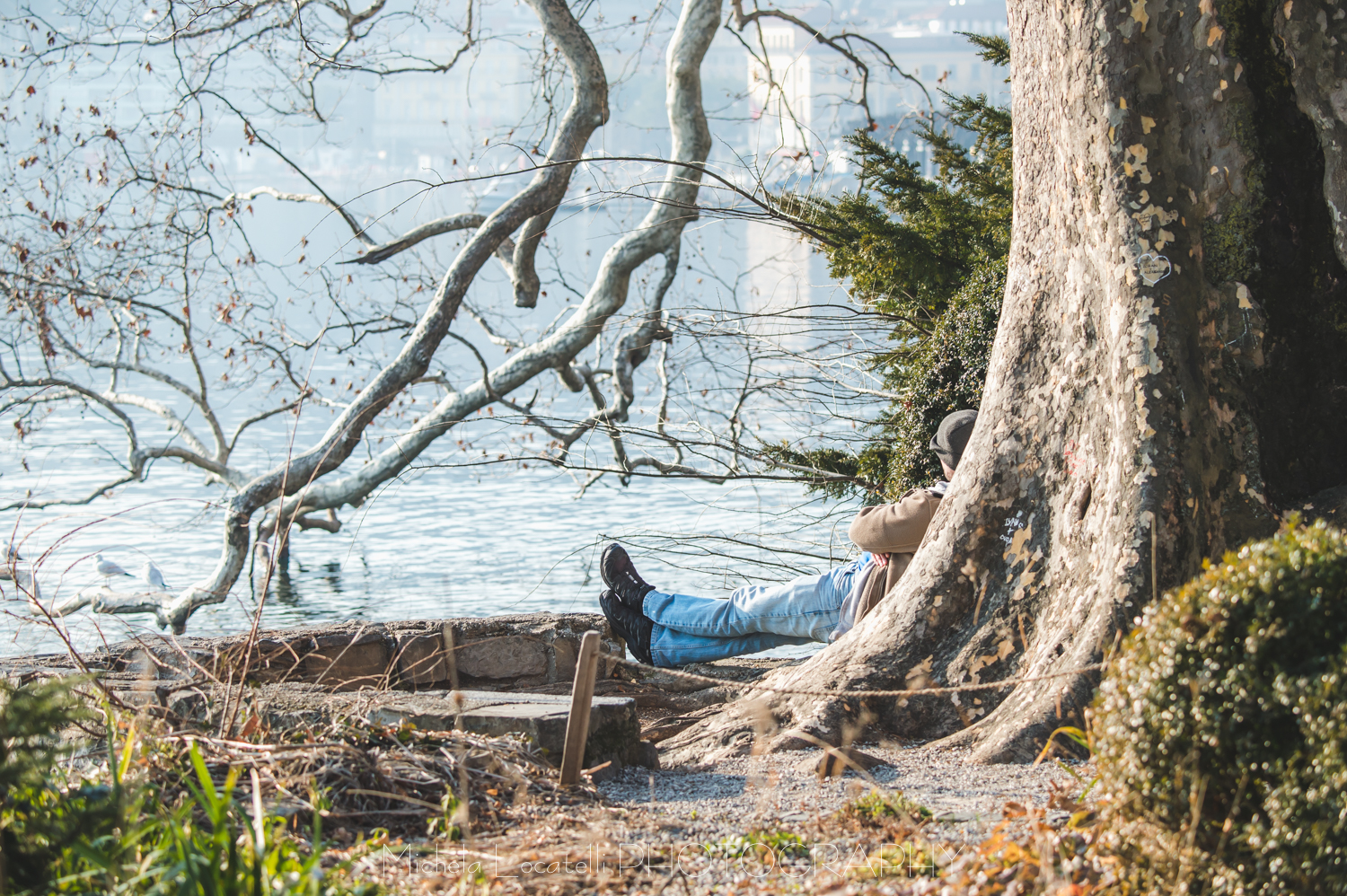 Passeggiando a Lugano - Parco Ciani 2018 Ticino,albero,lago,lugano,parco ciani,relax,svizzera,swiss,uccelli,