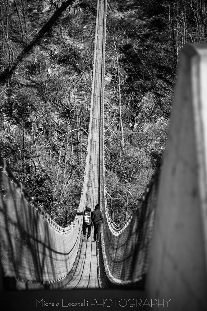 Ponte Tibetano di Curzutt  Bellinzonese, paesaggio, passeggiata, ponte, ponte tibetano, sementina, ticino, ticinoturismo, 