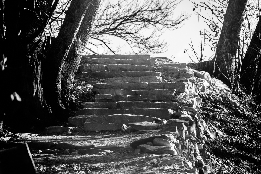 Ponte Tibetano di Curzutt  Bellinzonese, paesaggio, passeggiata, ponte, ponte tibetano, sementina, ticino, ticinoturismo, 