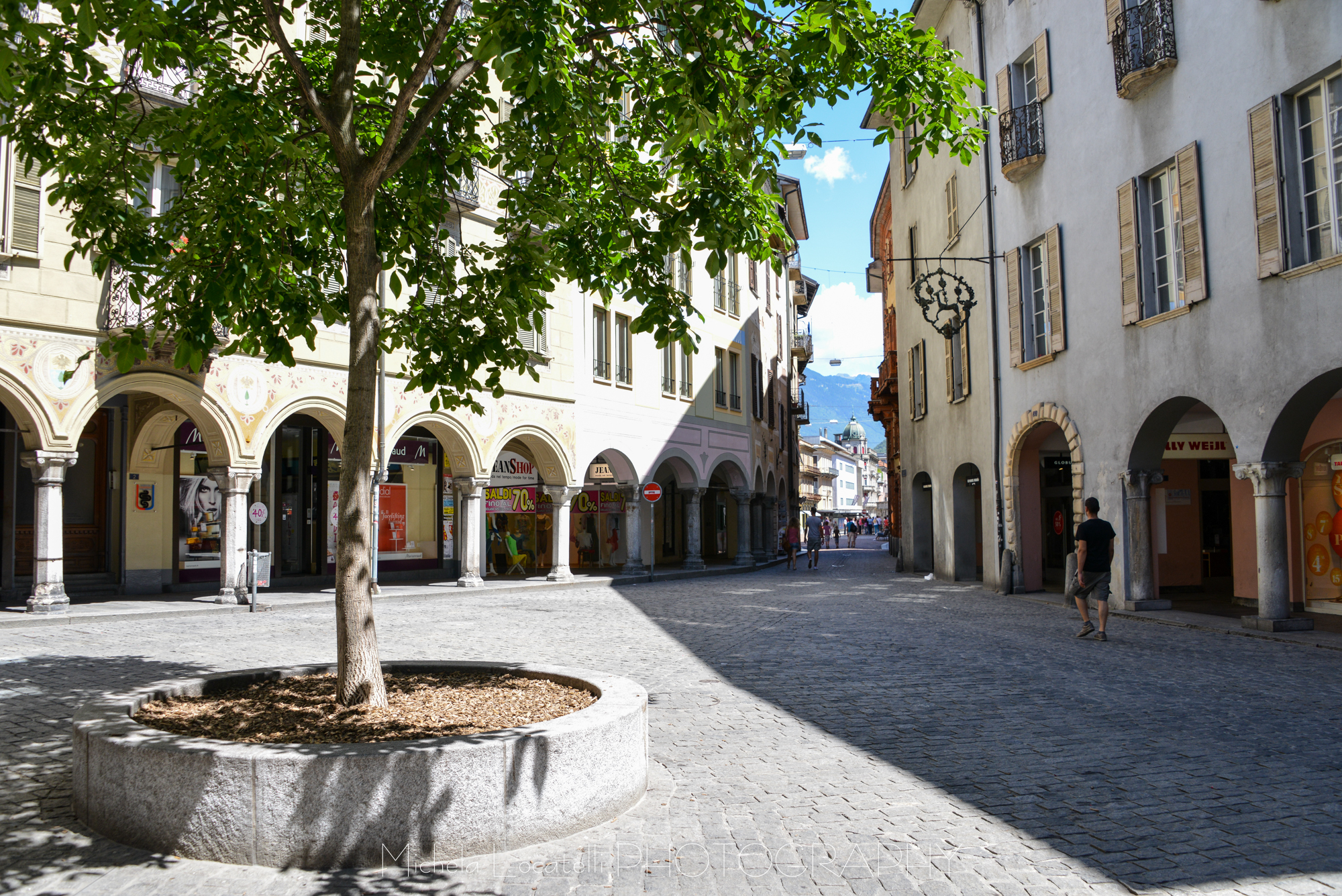 Bellinzona paesaggi,ticino,