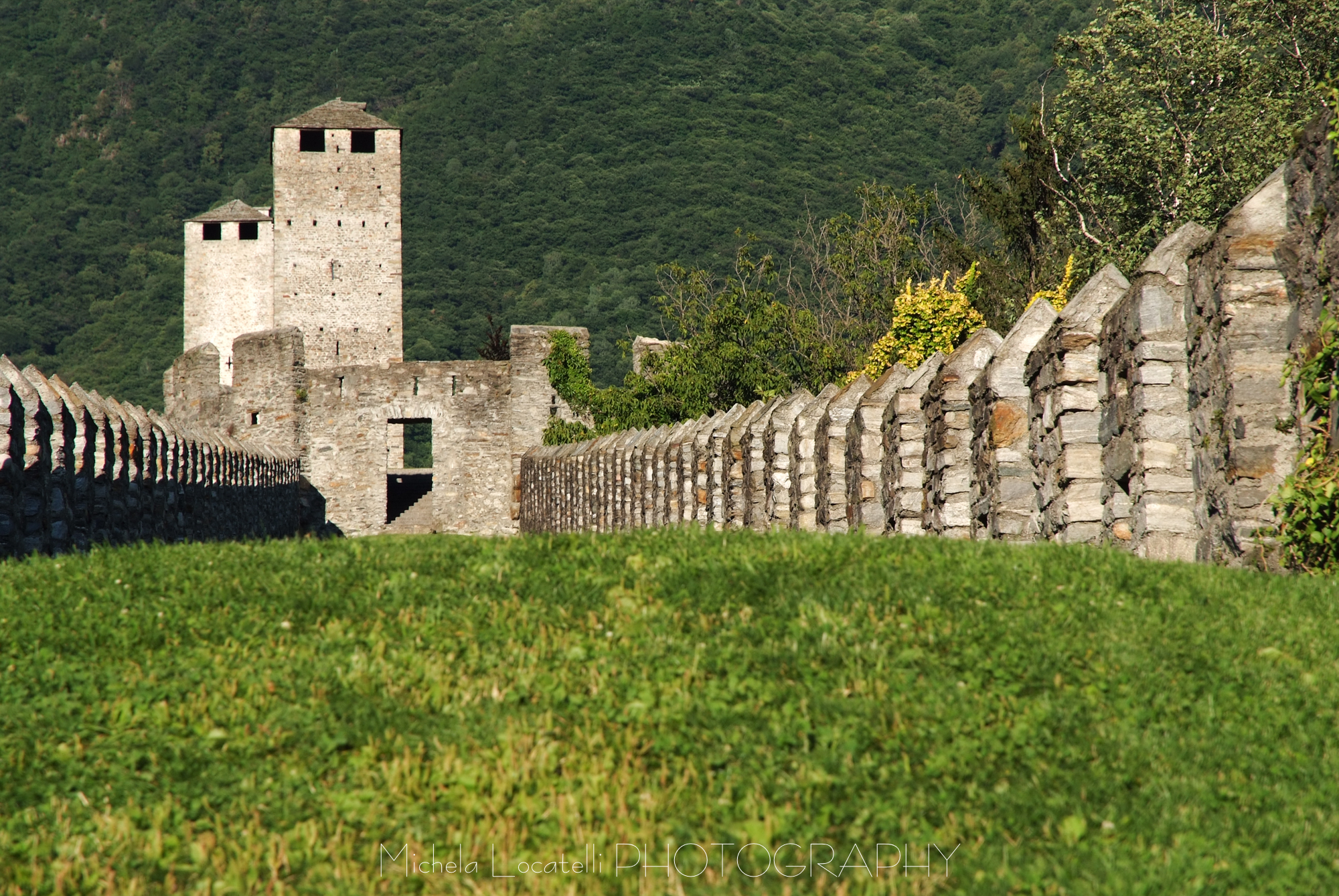 Bellinzona paesaggi,ticino,