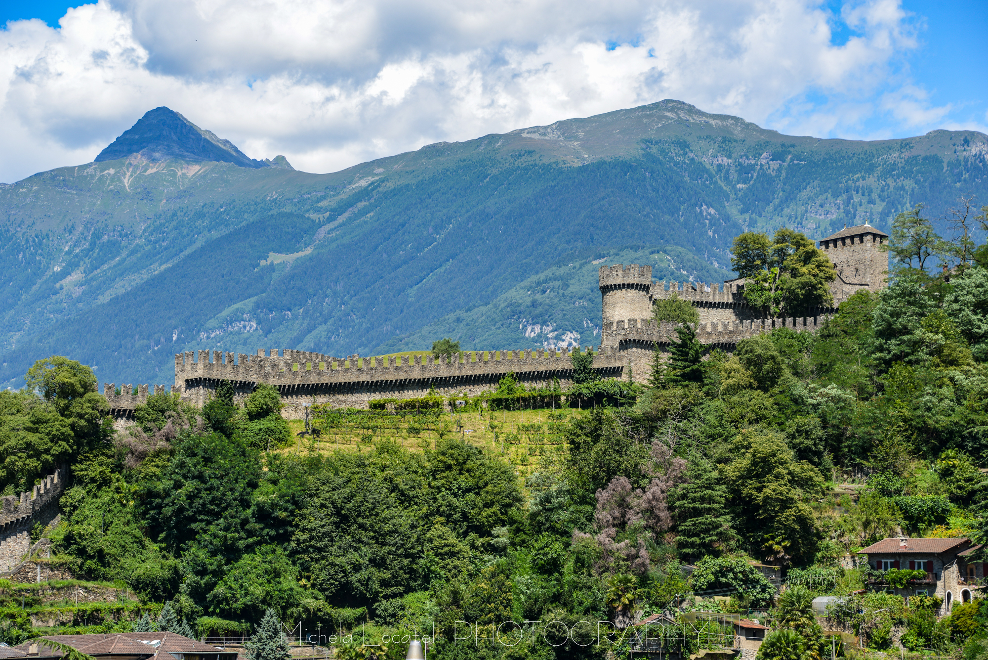 Bellinzona paesaggi,ticino,