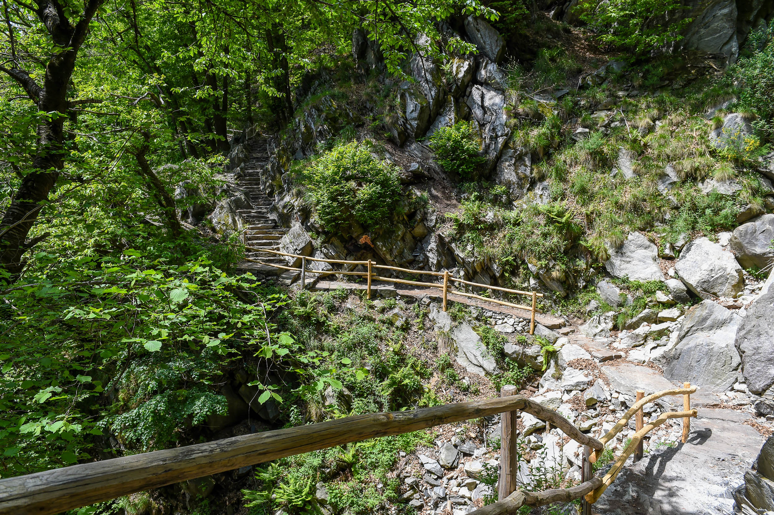 Bellinzona paesaggi,ticino,