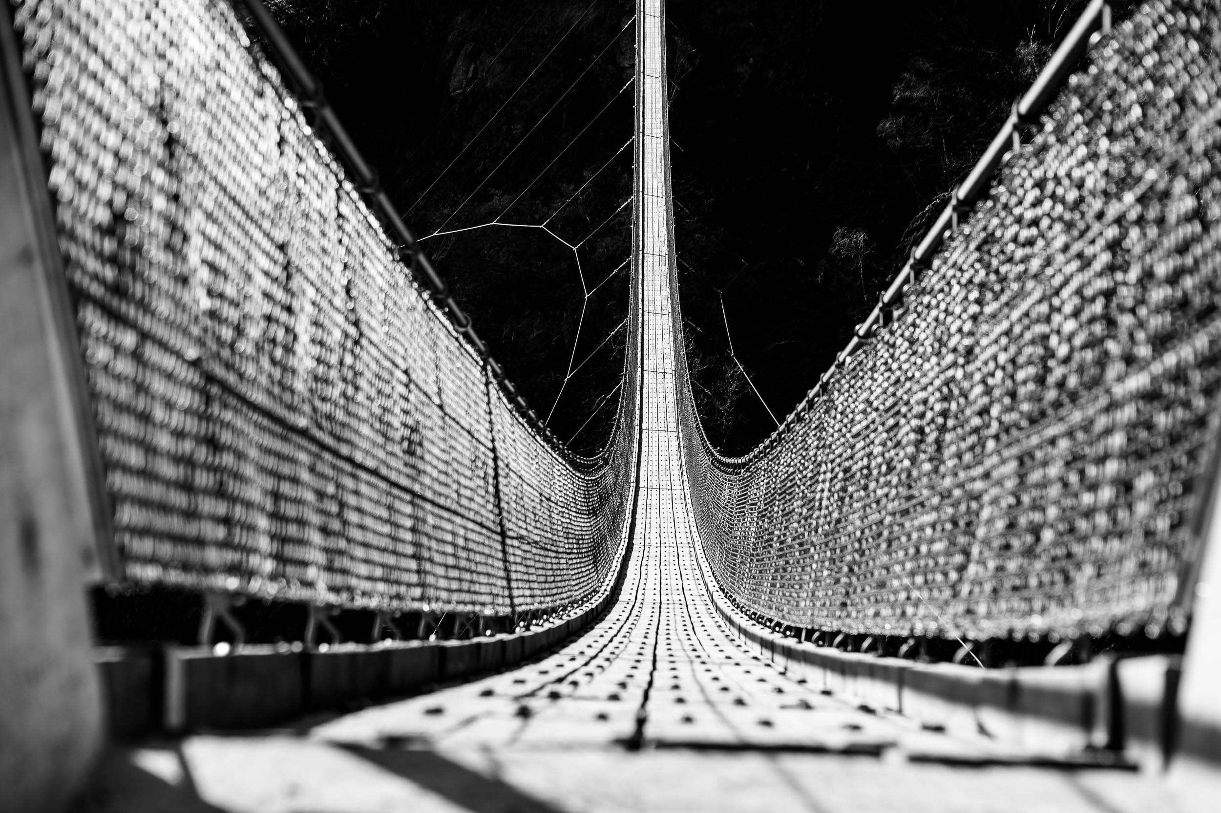 Bellinzona Bellinzonese,paesaggio,passeggiata,ponte,ponte tibetano,sementina,ticino,ticinoturismo,