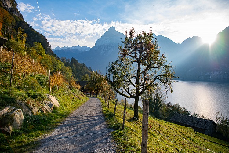 Svizzera