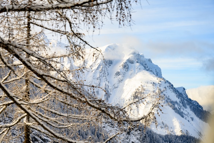 Svizzera